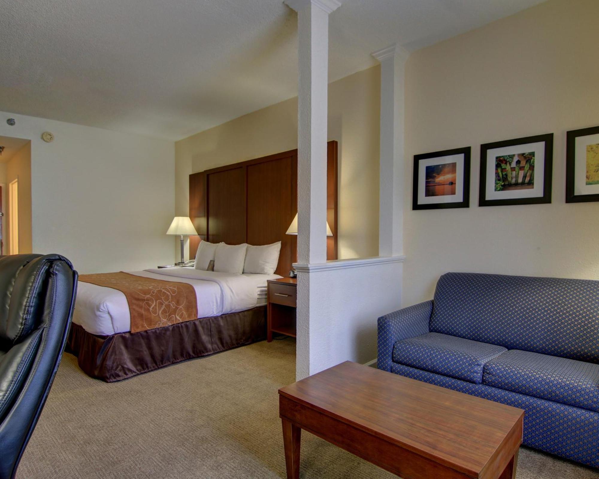 Comfort Suites Cumming-Atlanta Near Northside Hospital Forsyth Rom bilde